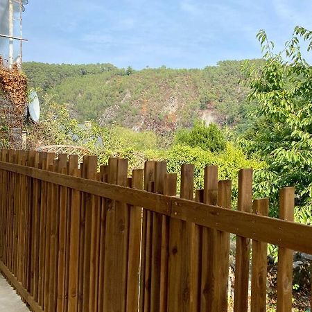 Magnifique Appartement 2/4 Pers - Le Saint Leo Exterior foto